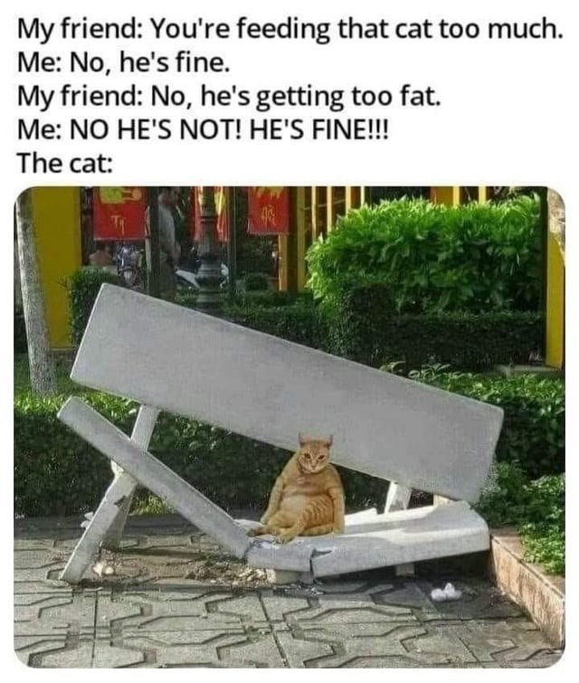 He’s not fat he’s just a lil dramatic blob - meme
