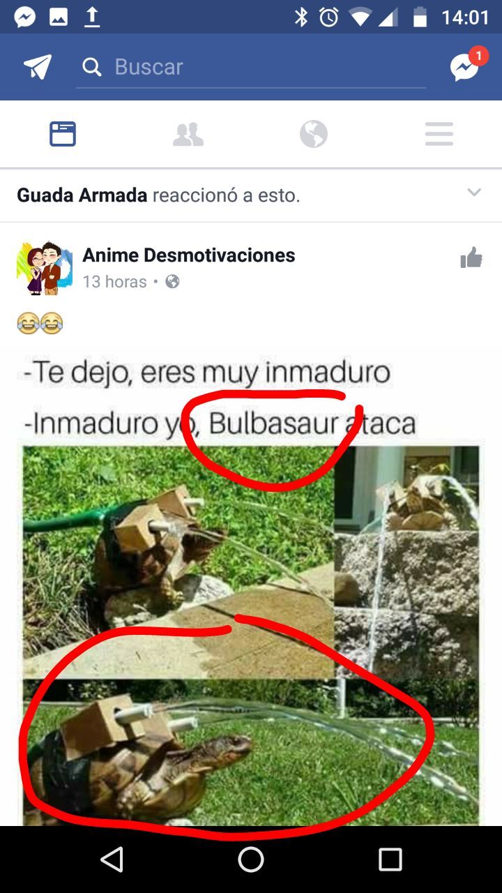 Blastoise - Meme subido por Red_21 :) Memedroid