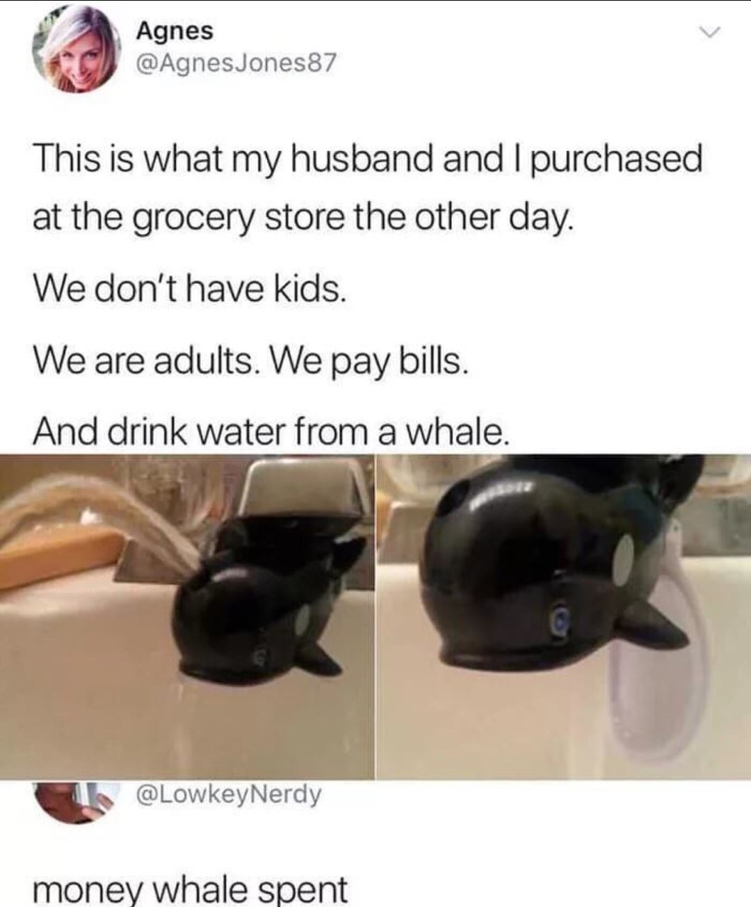 I fuck whales - meme
