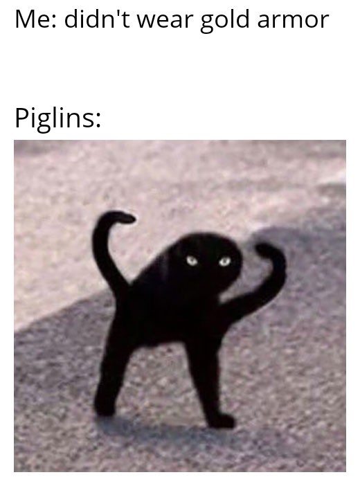 Creepy Cat - meme