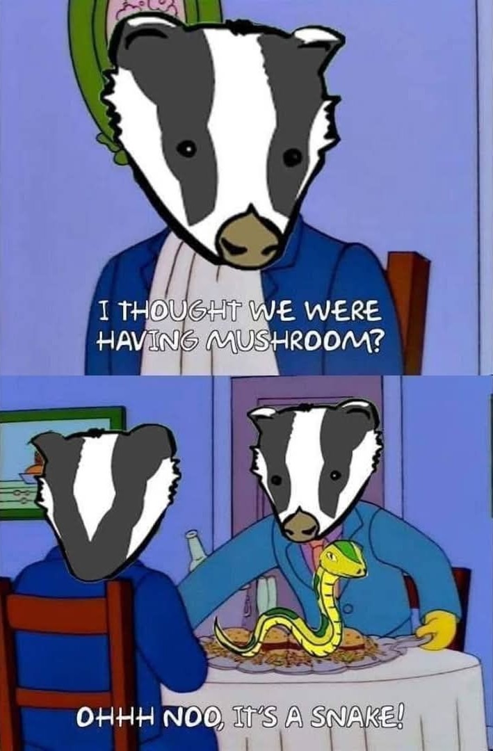 Badger badger badger - meme