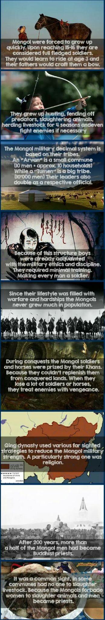 fun Mongol facts. - meme
