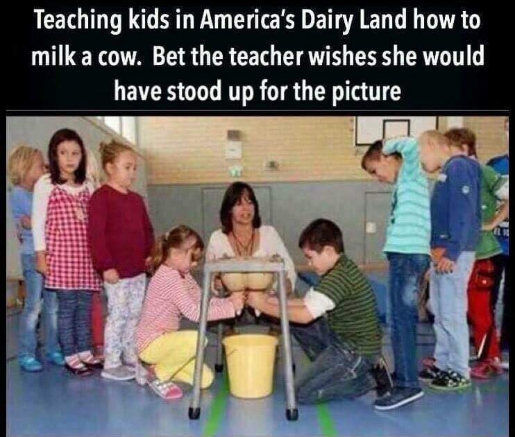Milk your teacher - meme