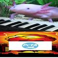 bad ending:peta no descubre que es falso y funa al creador. pd:lo haria un gif pero no se como asi que si quieren ver el video busquen axolotl piano en youtube y te aparece