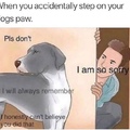betrayed doggo