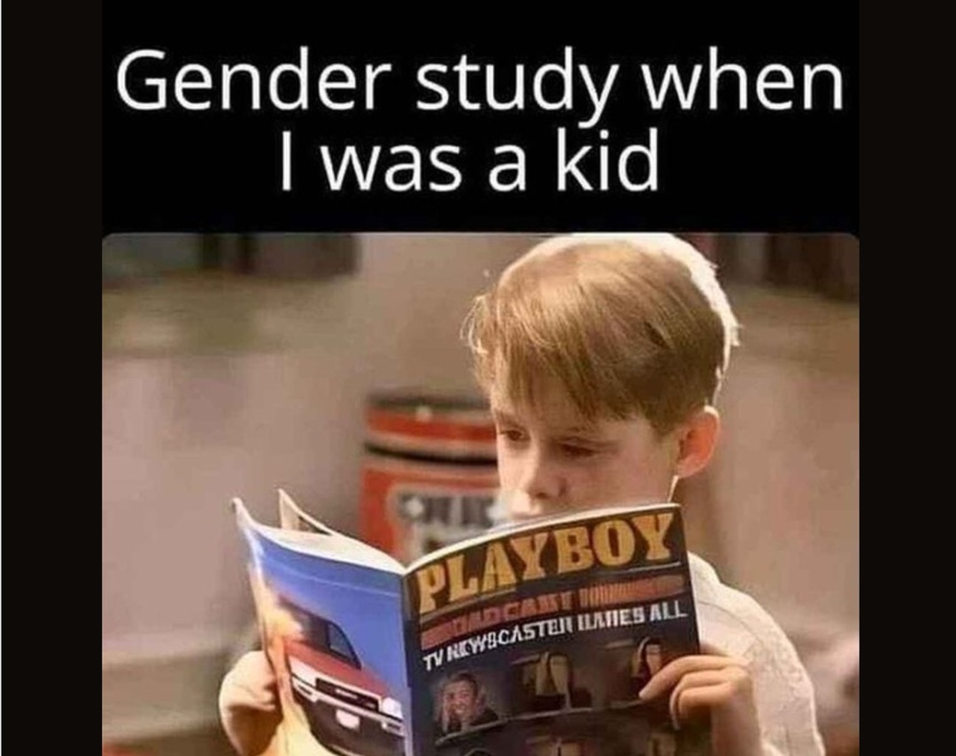 Gender study - meme