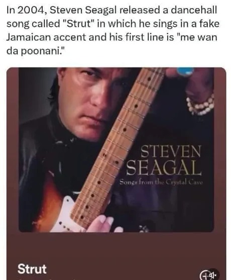 Steven Seagal dancehall song - meme