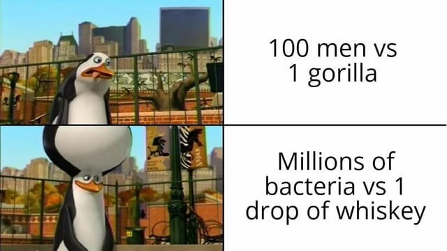 gorilla vs 100 men? bro bacteria vs whiskey is the real war - meme
