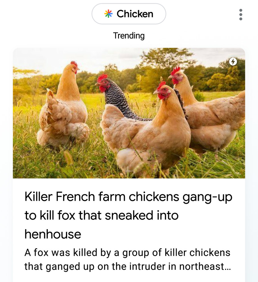 Chicken - meme