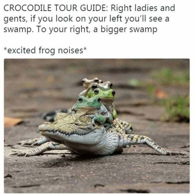 Cocodrile tour guide - meme