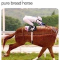 2 comment gets screwed by a horse