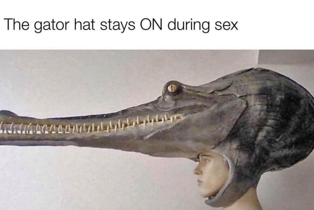 Has anyone seen my sex hat? - meme