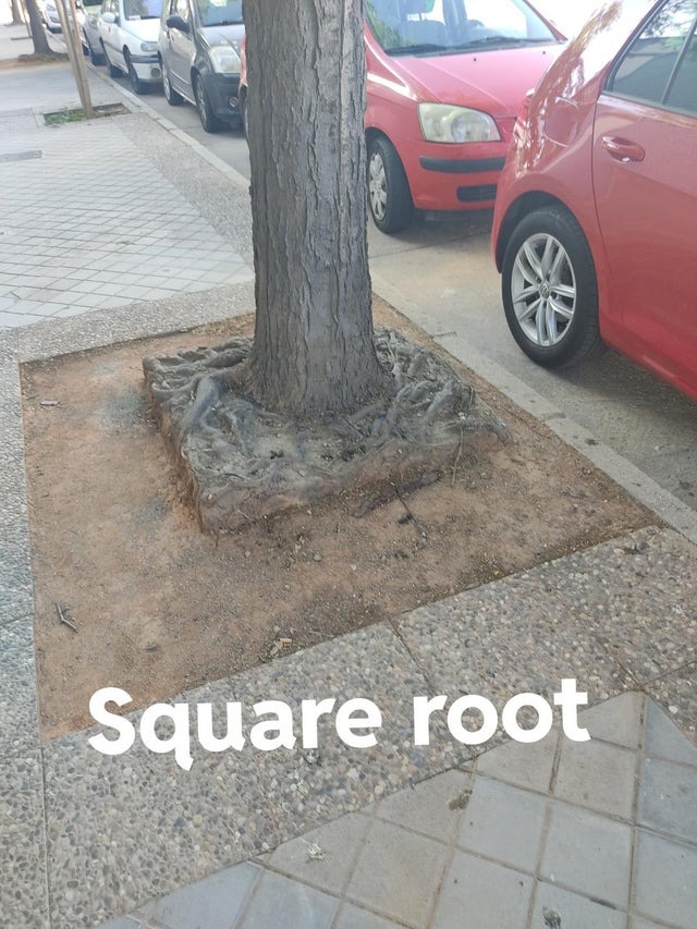 square root - meme