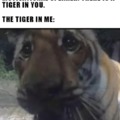 There is a tiger in you