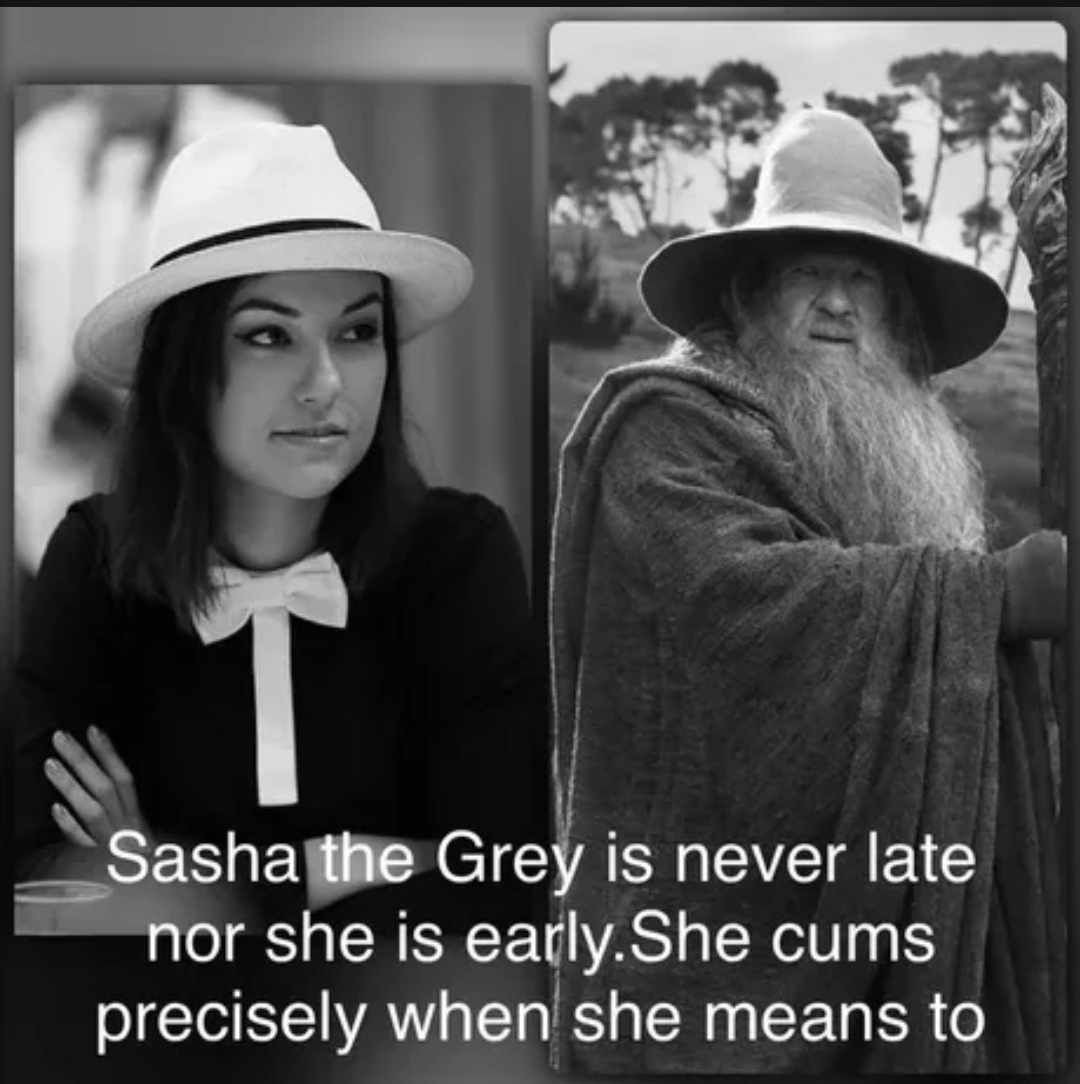 Sasha the Grey - meme