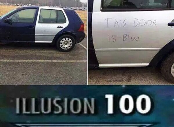 illusion 100 - meme