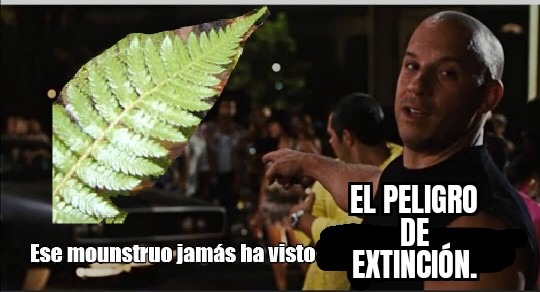 Contexto : ésa es una de las  primeras plantas que existió incluso  antes de los tardigrados y nunca ha estado en riesgo de extinción. - meme