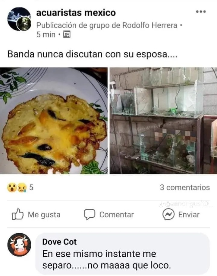 Las discusiones son normales en las parejas, pero esa mujer cruzo la psicopatía - meme