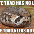 Make 'hate toad' a template Novagecko