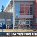 RCMP are hiring I guess
