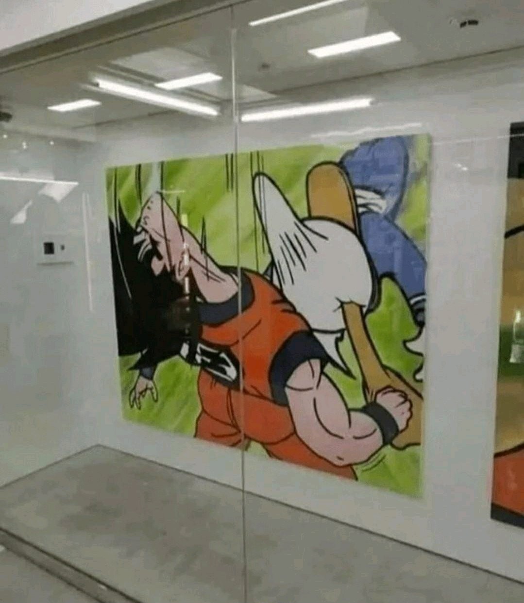 Pato - meme