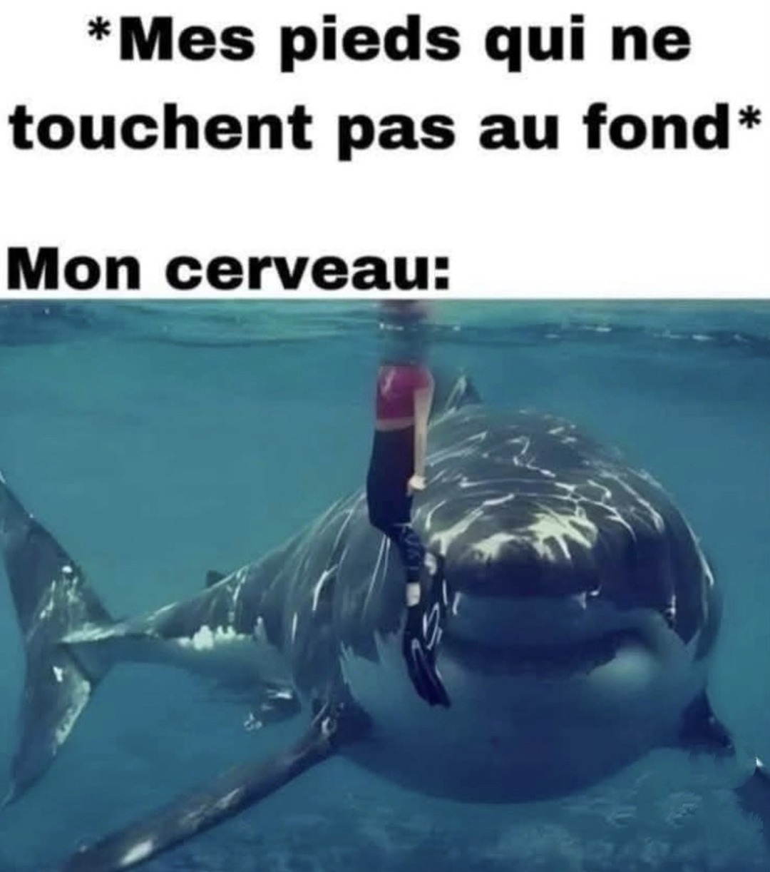 Cerveau en panique à la piscine - meme
