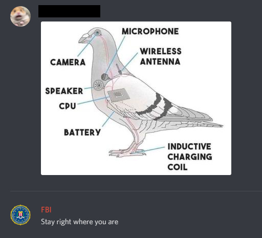 FBI Pidgeon - meme