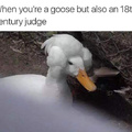 When you are a goose but also an 18th century judge