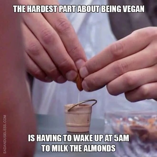 Vegan problems - meme
