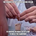 Vegan problems