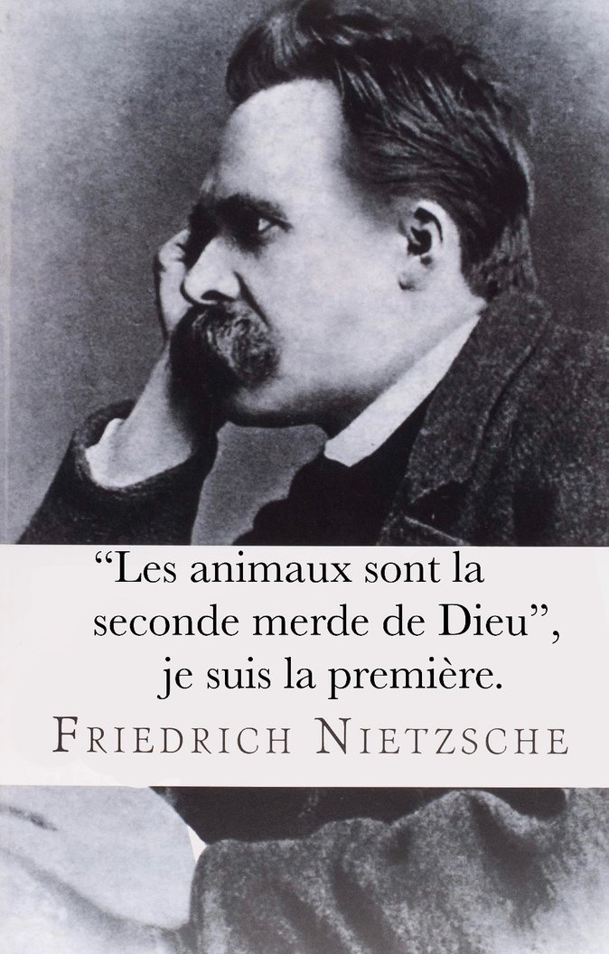 Nietzsche - meme