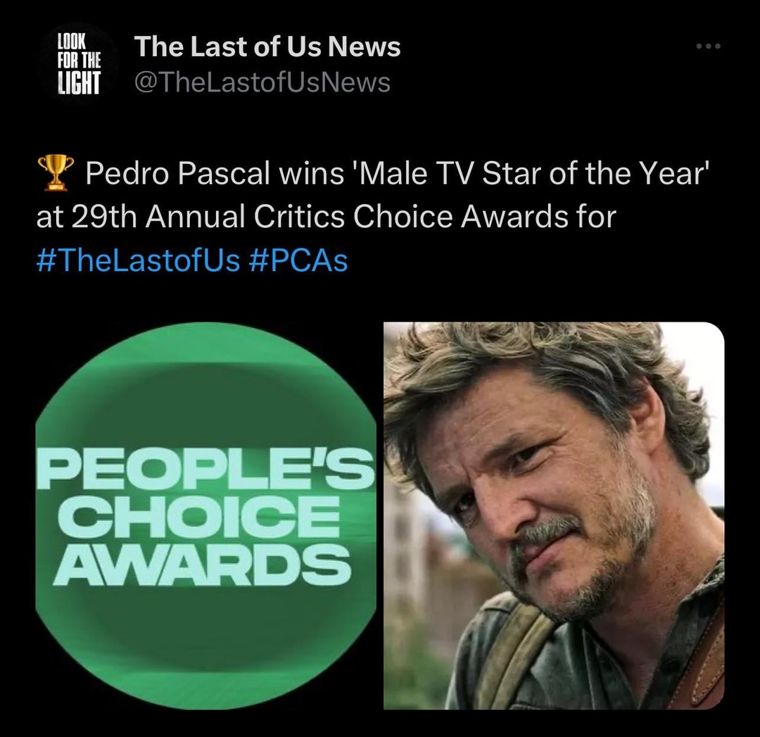 Pedro Pascal wins Male TV Star of the Year - meme