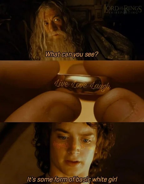 what can you see - meme