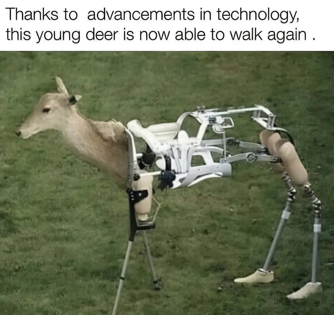 A beautiful miracle - meme