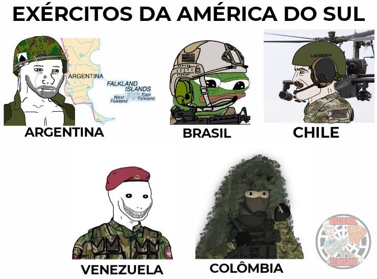 (Parte 1?) Não tinha de macaco, ficou o sapo mesmo - meme