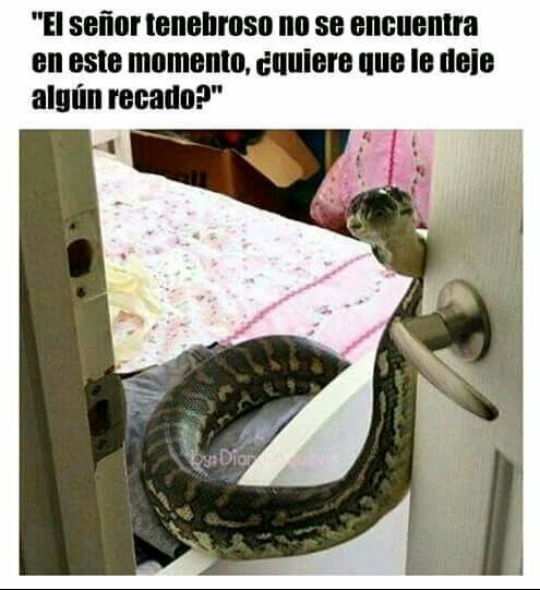 Voldemort y su serpiente - meme