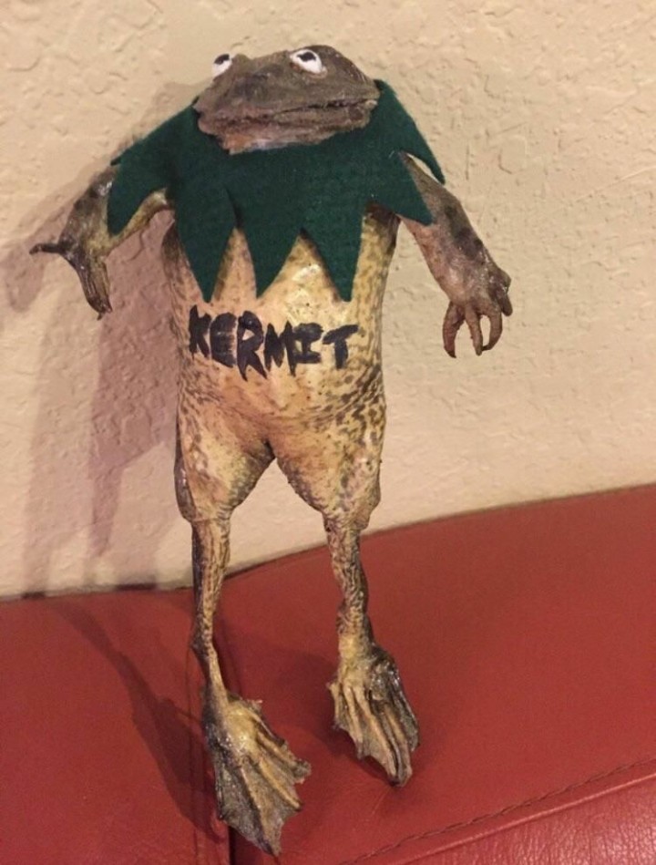 Kermit,o demônio - meme
