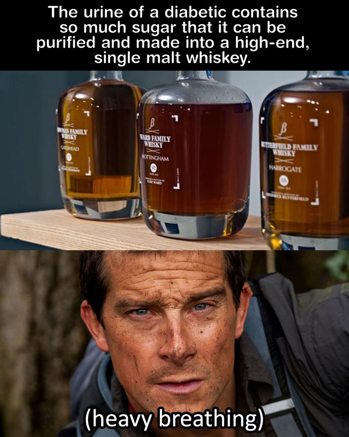 delicious - finally, some good fucking whiskey - meme