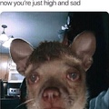 now you’re just high and sad