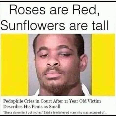 Roses are red - meme