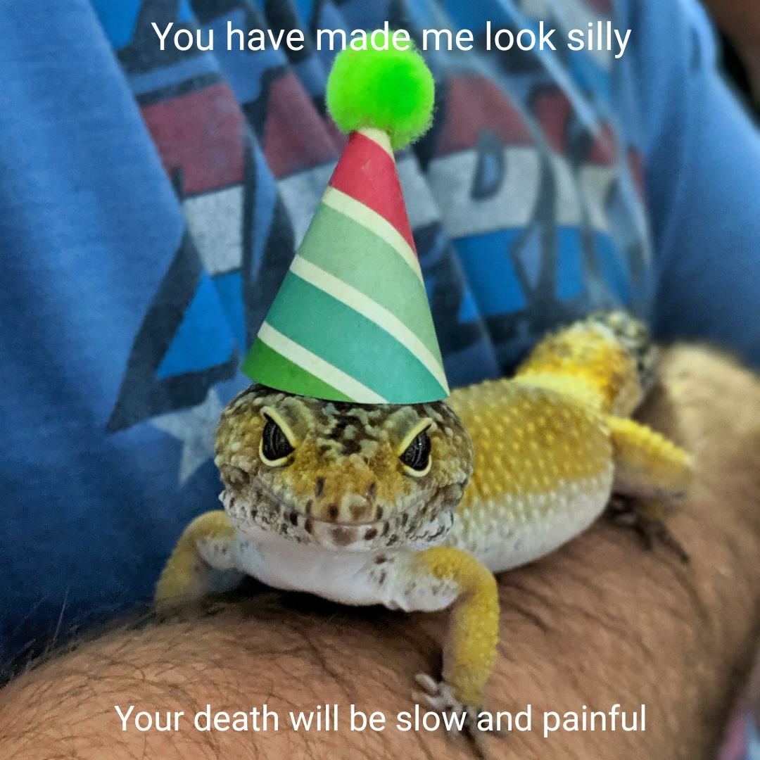 Happy Birthday Lizard - meme