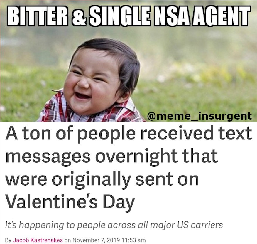 NSA LOVES YOU! *NOT* - meme