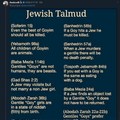 This is why (((they))) dont want the talmud translated and published