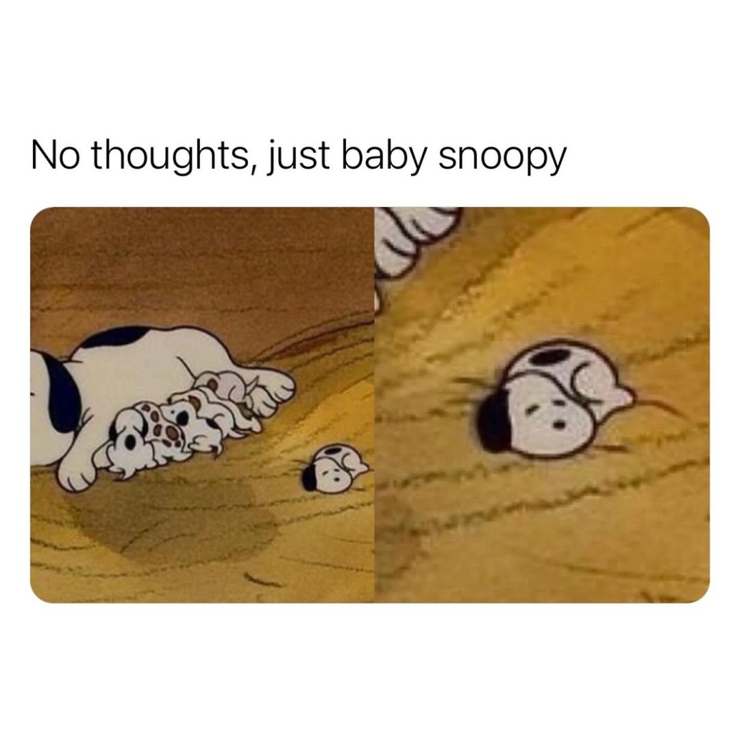 Baby Snoopy - meme