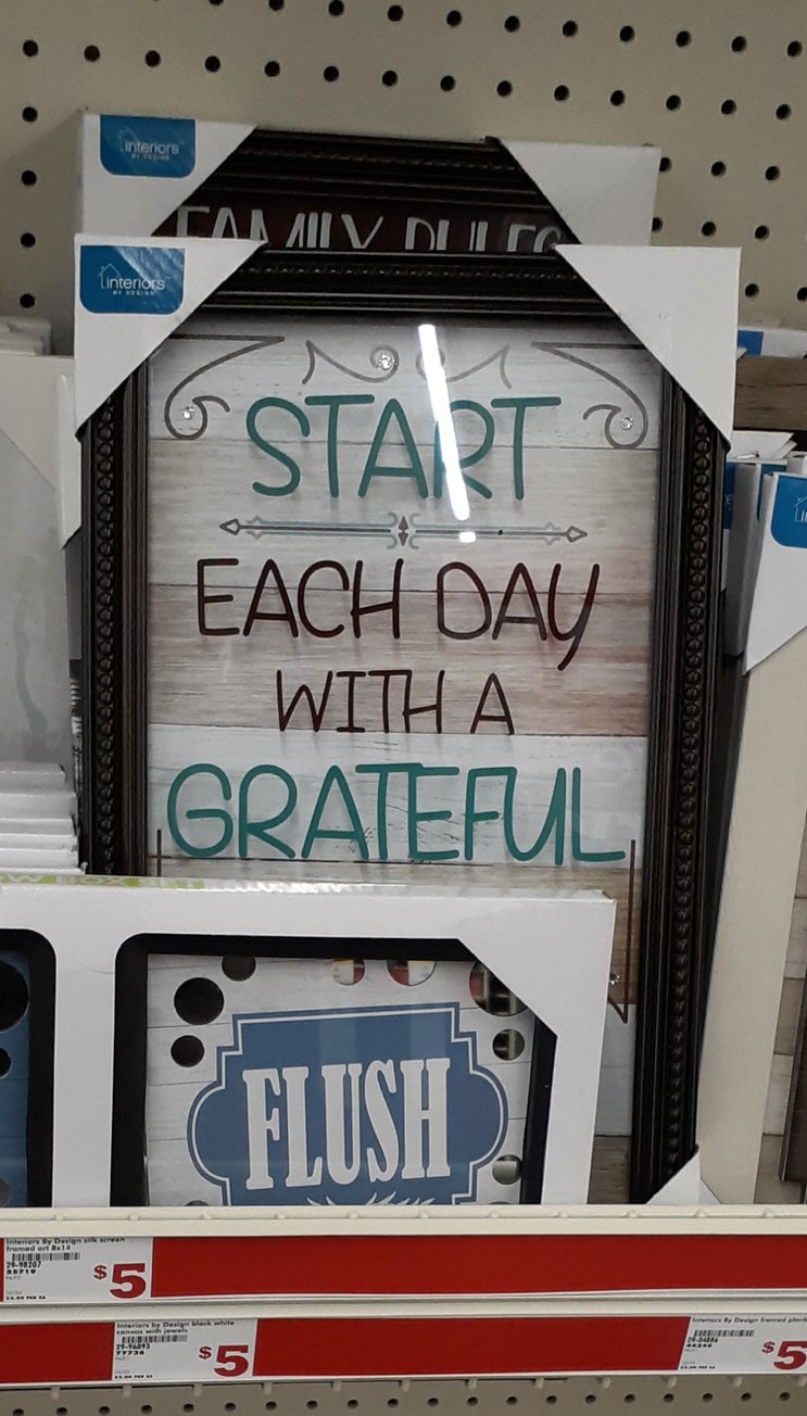 Thank you for the advice, Dollar Store! - meme