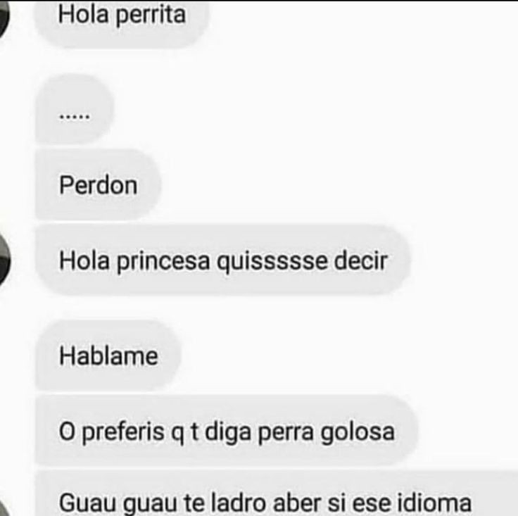 Hola perrita - meme