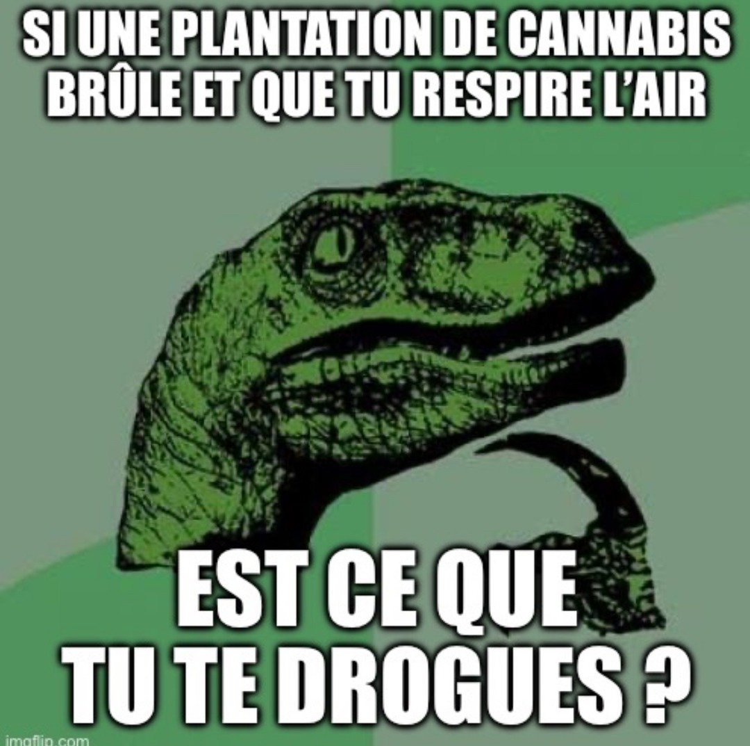 C’est vrai ca… - meme