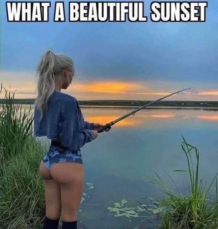 Fishing - meme