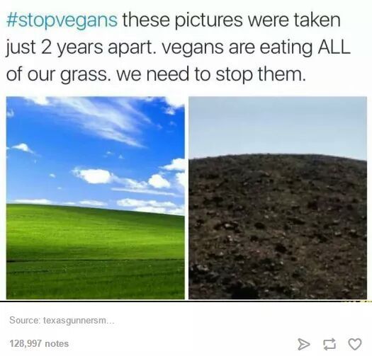 Vegan stap - meme