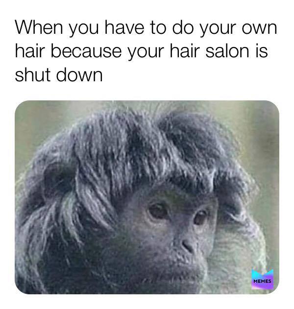 Hair did - meme